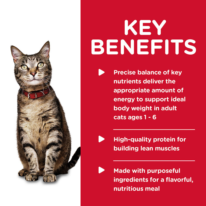 Science Diet, Can, Feline Adult - Tender Tuna - 156 g - Wet Cat Food image number null