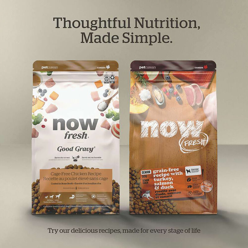 NOW FRESH, Adult GF - Dry Dog Food image number null