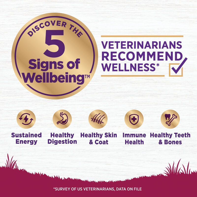 Wellness, Complete Health Small Breed, Turkey & Oatmeal - Dry Dog Food image number null