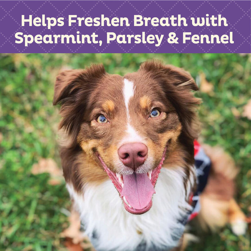 Old Mother Hubbard, Crunchy Functional Fresh Breath - 20 oz image number null