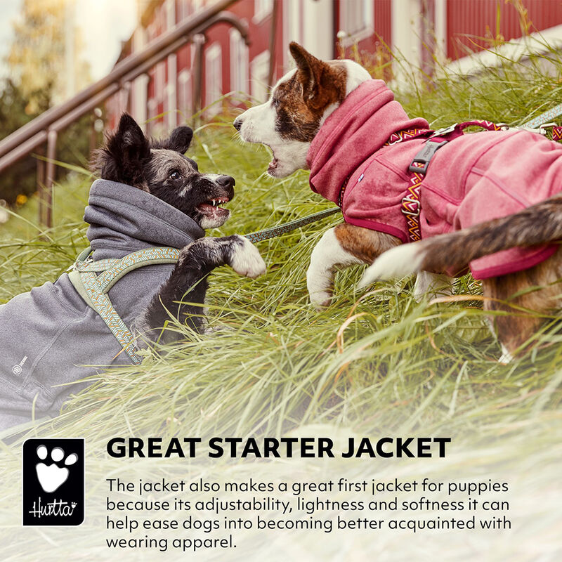 Hurtta, Razzle Dazzle Midlayer - Blackberry image number null