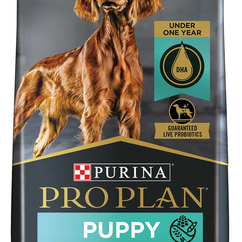 Purina Pro Plan Sensitive Skin & Stomach Puppy  with Probiotics, Salmon & Rice, Dry Dog Food Formula image number null