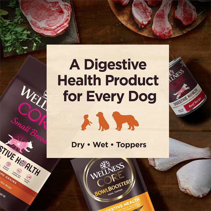 Wellness, Can, Adult - Core Digestive Health GF - Beef - 368 g - Wet Dog Food image number null