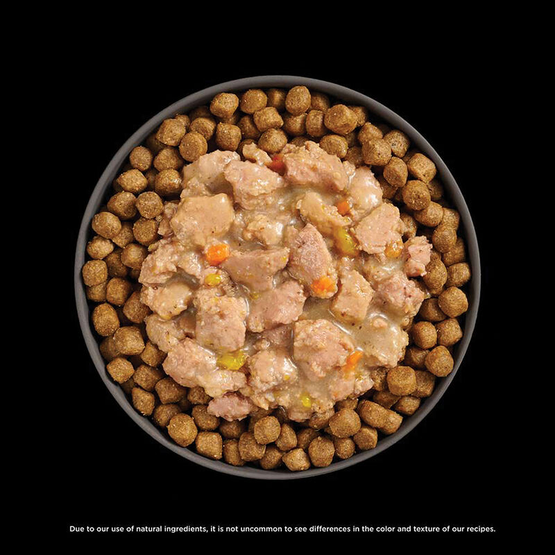 GO! SOLUTIONS,  BOOSTER Brain Health Minced Chicken + Salmon with gravy - 71 g - Wet Cat Food image number null