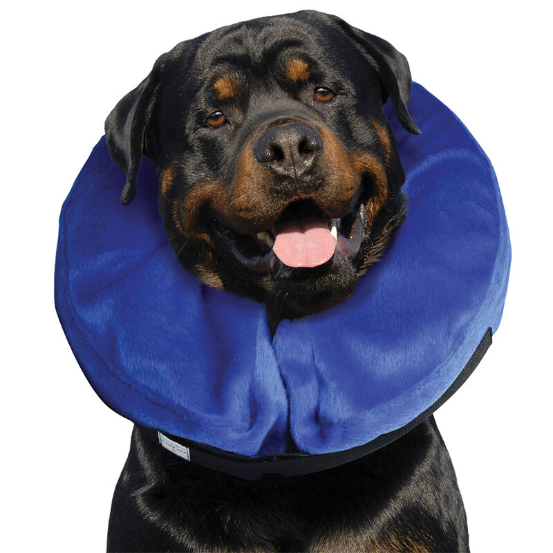 KONG, Cloud Collar - Dog First Aid image number null