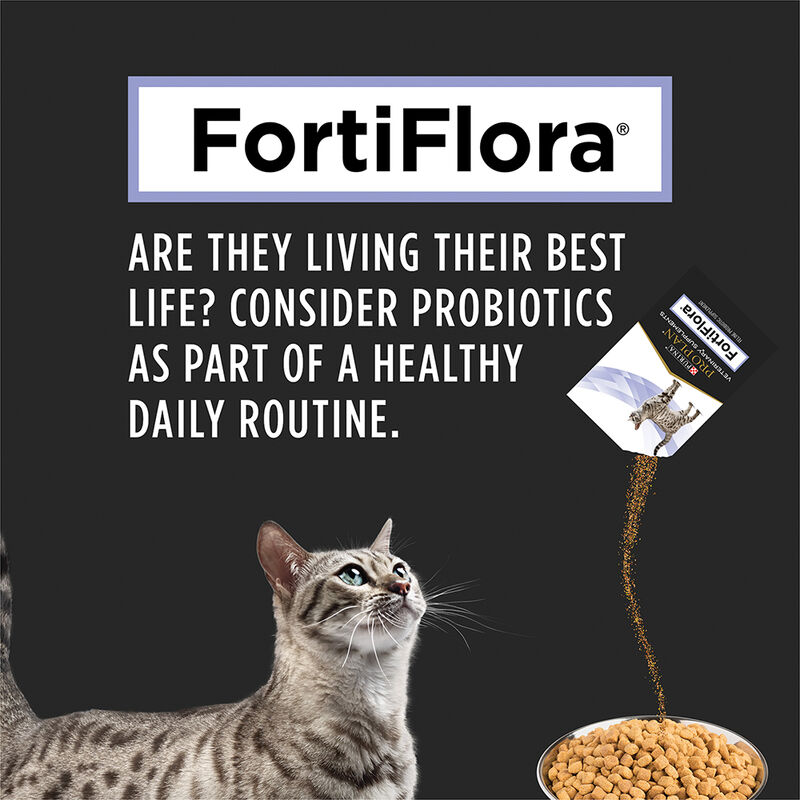 Pro Plan, Feline FortiFlora - Probiotic - 30 g - 30 x 1 g - Cat Supplement image number null