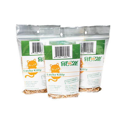 Lucky Kitty, Fog Farms - Organic Wheat Grass Seeds