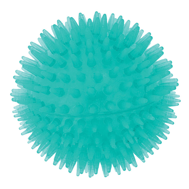 BeOneBreed, B Buds Dental Ball - Toss Dog Toy image number null