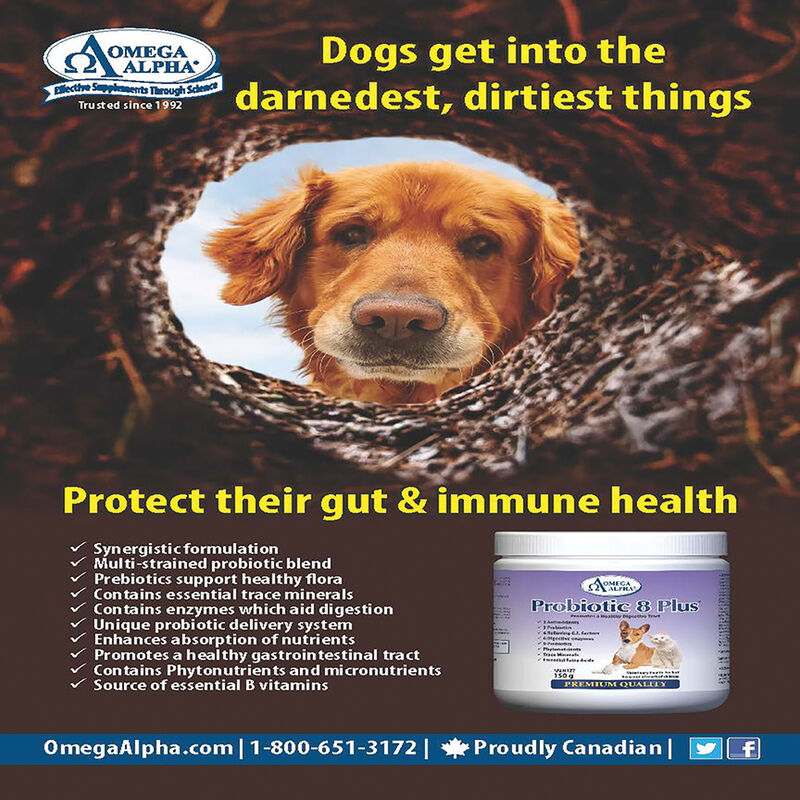 Omega Alpha, Probiotic 8 Plus image number null