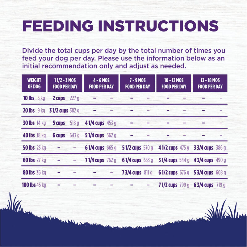 Wellness, Puppy Large Breed - Complete Health - Chicken, Salmon & Brown Rice - 13.6kg - Dry Dog Food image number null