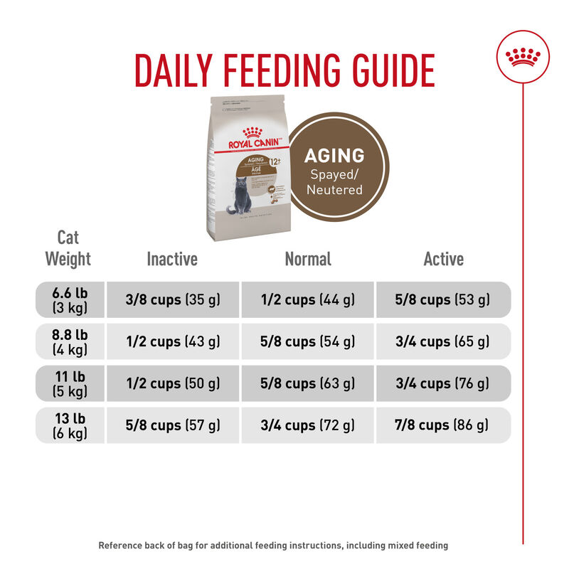 Royal Canin, Feline Health Nutrition Aging Spayed / Neutered 12+ Dry Adult - Dry Cat Food image number null