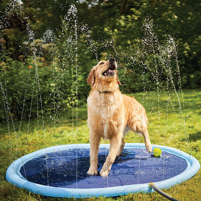 Zoom Pets Splash Pad - Blue image number null