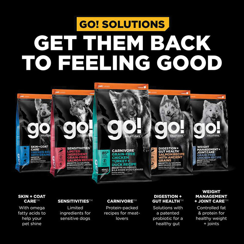 GO! SOLUTIONS CARNIVORE Grain Free Chicken, Turkey + Duck Adult Recipe for dogs image number null