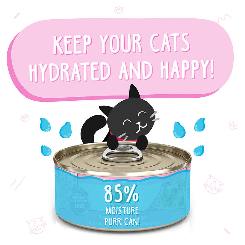 Weruva, Can Feline - Amazon Livin' - 156 g - Shreds - Wet Cat Food image number null