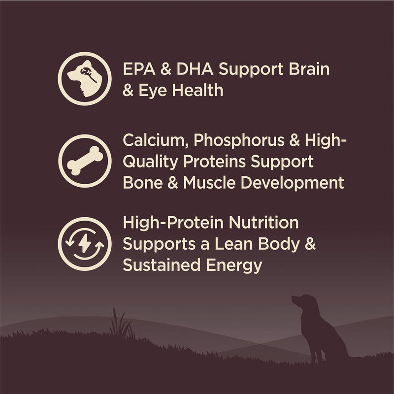 Wellness, Core, Grain Free Puppy - Dry Dog Food image number null