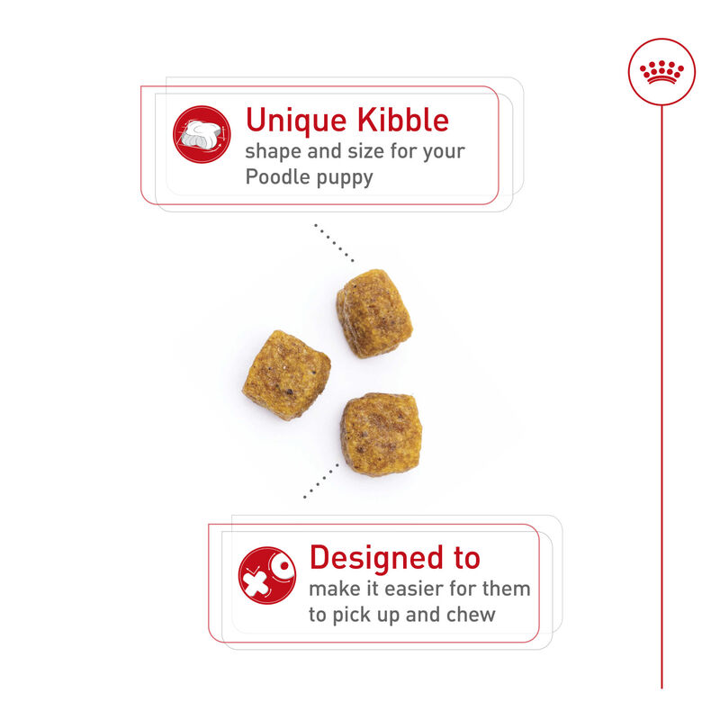 Royal Canin, Breed Health Nutrition Poodle Puppy - Dry Dog Food image number null