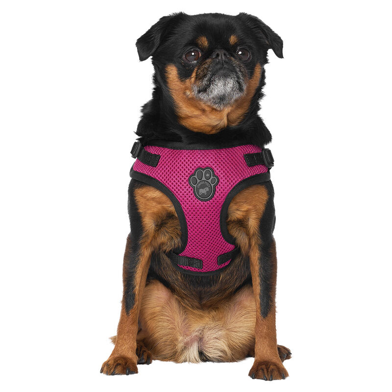 Canada Pooch, Easy-On Step-In Harness Plum image number null