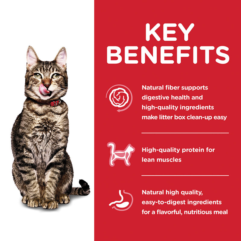 Science Diet, Adult 7+ Indoor Chicken Recipe Dry Cat Food - Dry Cat Food image number null