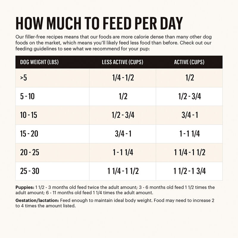 The Honest Kitchen, Small Breed, Whole Food Clusters, Whole Grain Chicken & Oat Recipe - Dry Dog Foo image number null