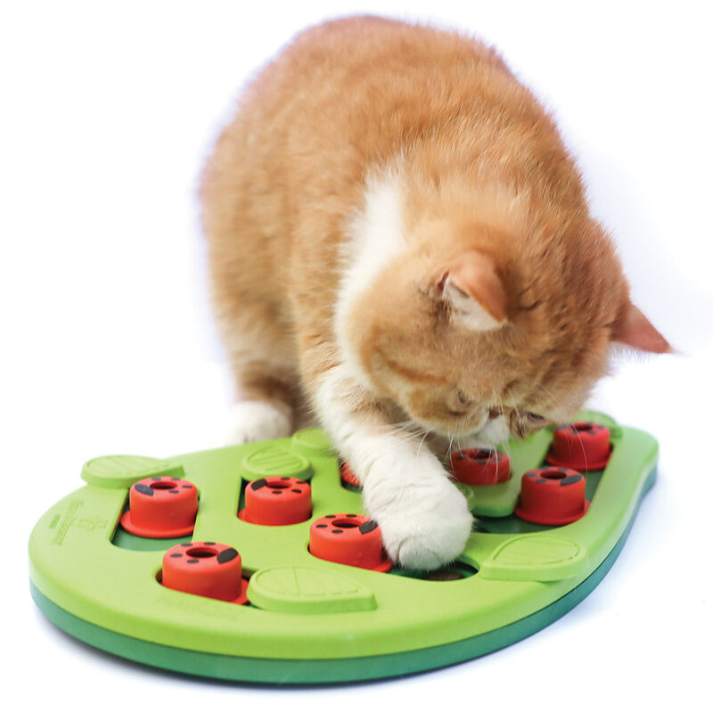 PetStages, Puzzle & Play Buggin Out - Green image number null