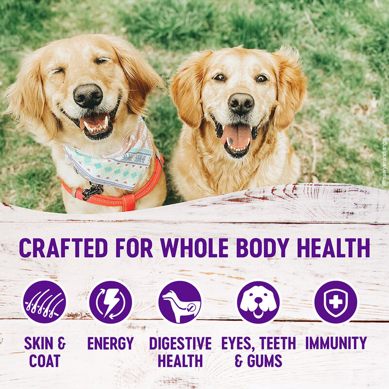 Wellness, Large Breed Complete Health, Deboned Chicken, Brown Rice - Dry Dog Food image number null