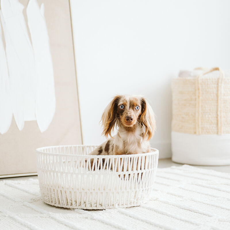 BeOneBreed, Rope Basket - Cream image number null