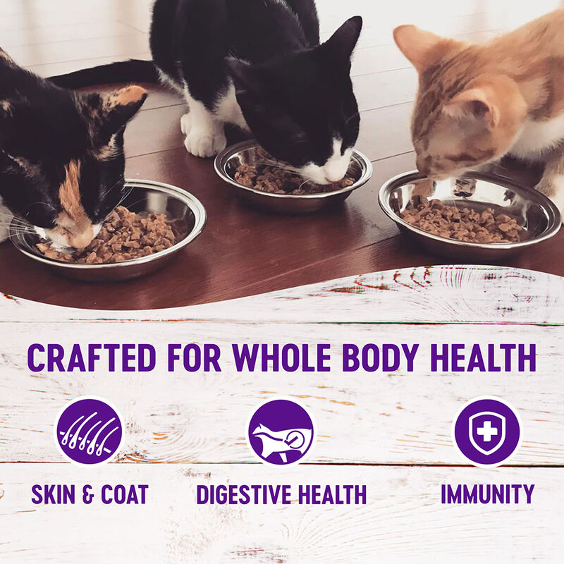 Wellness, Canned Cat Food, Complete Health, Turkey - Wet Cat Food image number null