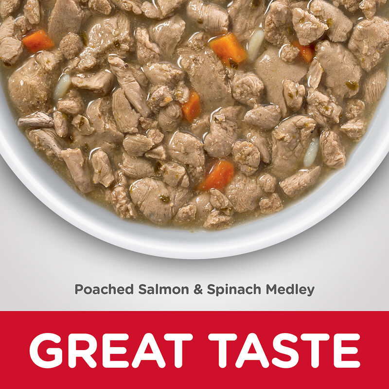 Science Diet, Adult Healthy Cuisine Poached Salmon & Spinach Medley - 79.37 g - Wet Cat Food image number null