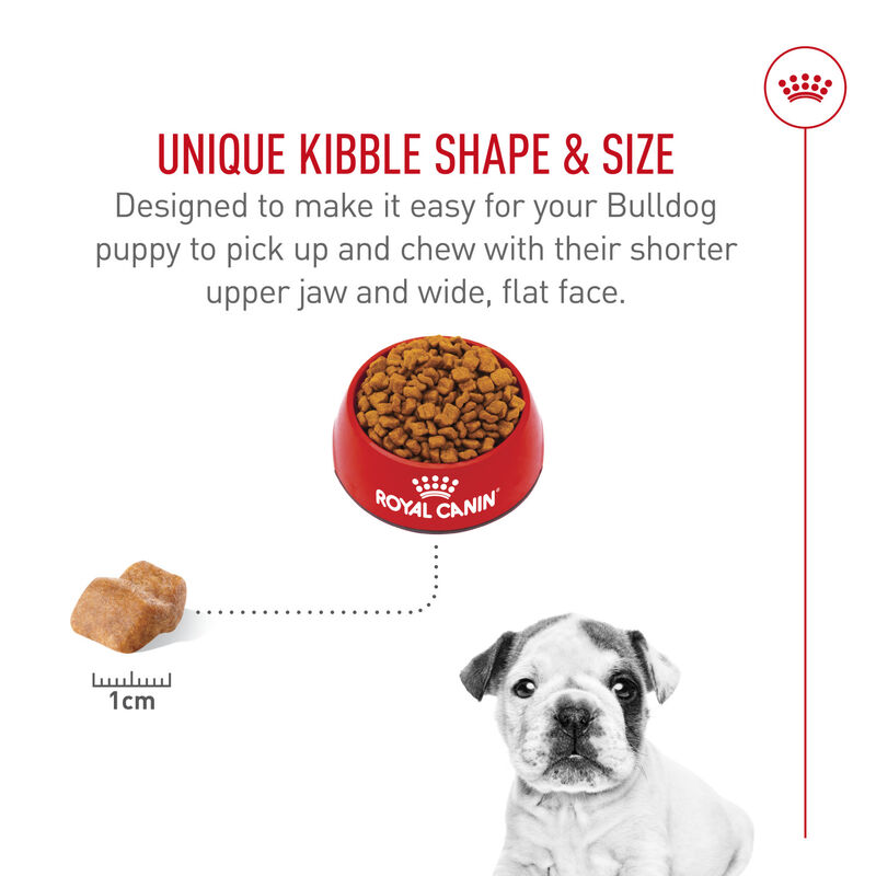 Royal Canin, Breed Health Nutrition Bulldog Puppy - Dry Dog Food image number null