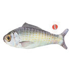 SPOT, Gone Fishin' w/ Catnip - Assorted - 6.5" - Catnip Cat Toy image number null
