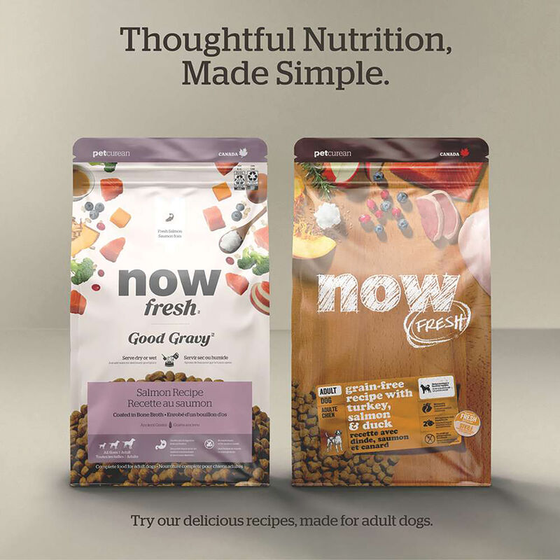Good Gravy - Cage-Free Chicken Recipe with Ancient Grains - Adult - Dry Dog Food image number null