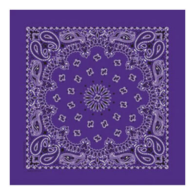 Fashion Bandana, Bandana - Purple Paisley