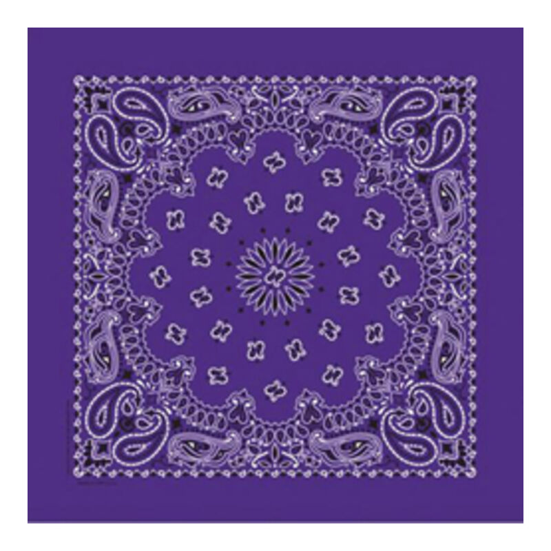 Fashion Bandana, Bandana - Purple Paisley image number null