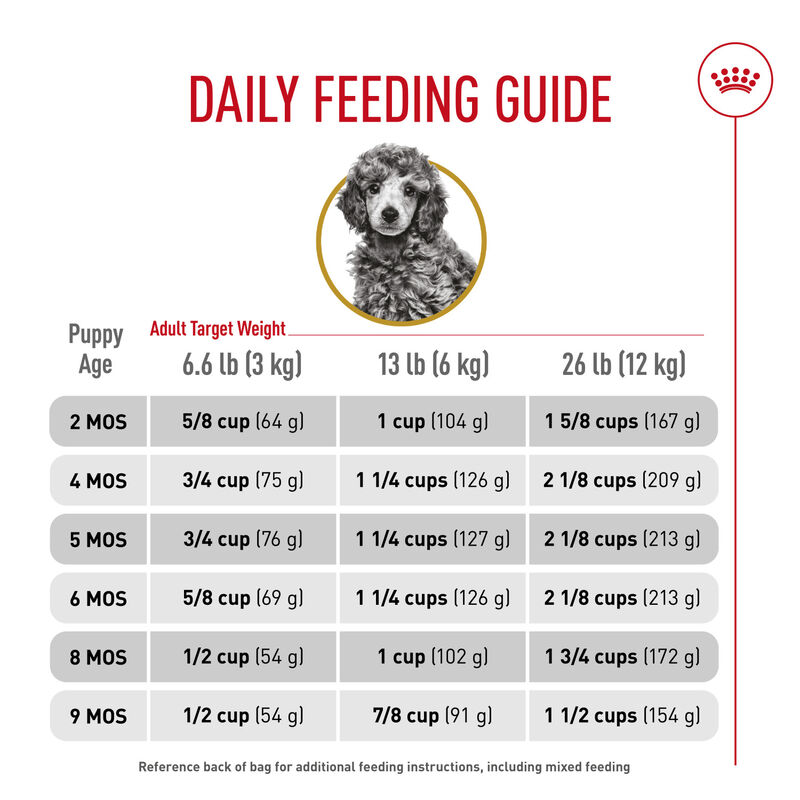 Royal Canin, Breed Health Nutrition Poodle Puppy - Dry Dog Food image number null