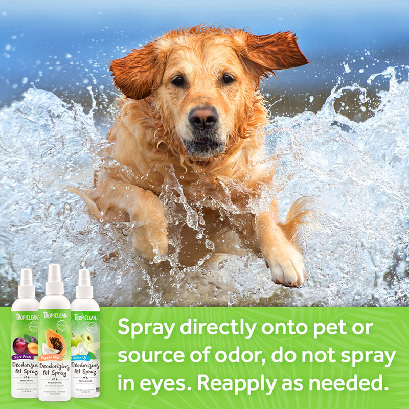 Tropiclean, Berry Breeze Deodorizing Pet Spray - 8 oz image number null