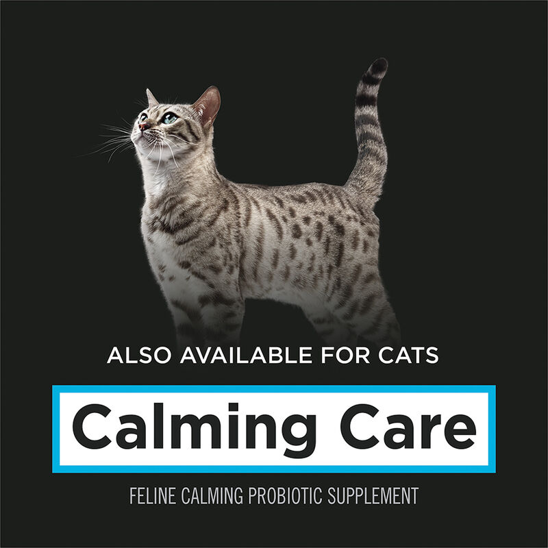 Pro Plan, Canine - Veterinary Supplements - Calming Care - 30 x 1g sachets image number null