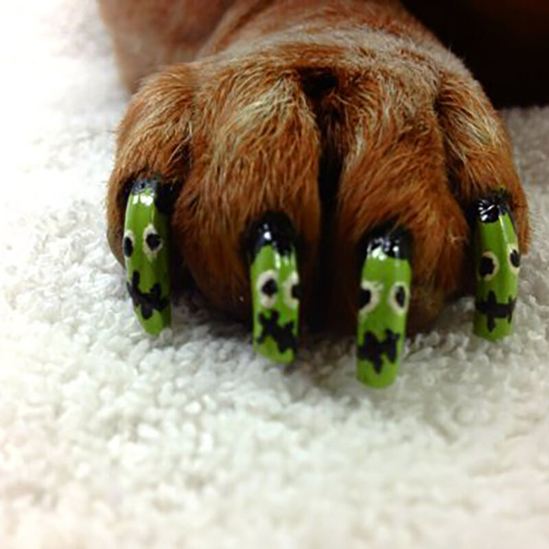Warren London, Pawdicure Polish Pen - Neon Green - 16 oz image number null
