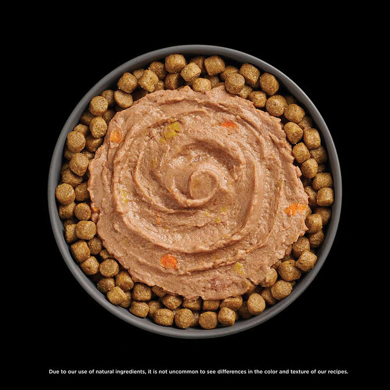GO! SOLUTIONS,  BOOSTER Brain Health Tuna + Salmon Pate - 71 g - Wet Cat Food image number null