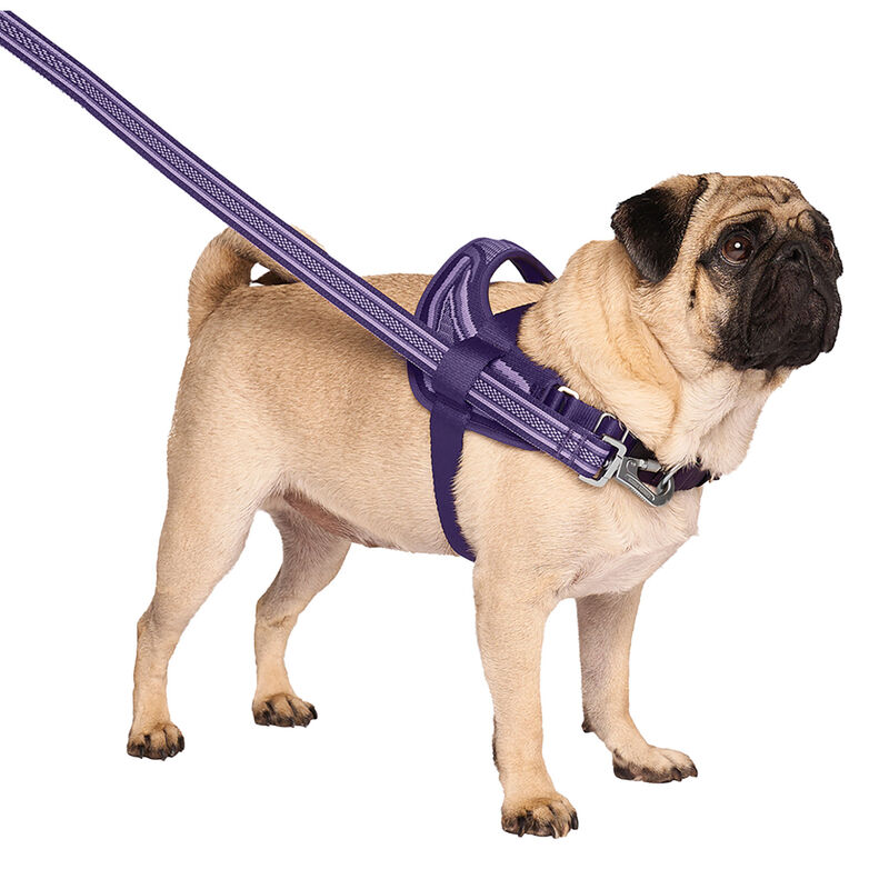 Canada Pooch, Re-Direct Harness - Purple/Lavender image number null