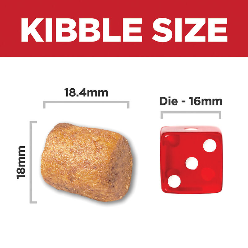 Science Diet, Adult - Small & Mini Breed, Oral Care - Dry Dog Food image number null