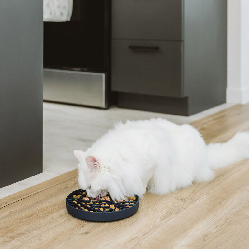 BeOneBreed, Sunrise Slow Feeder - Navy image number null