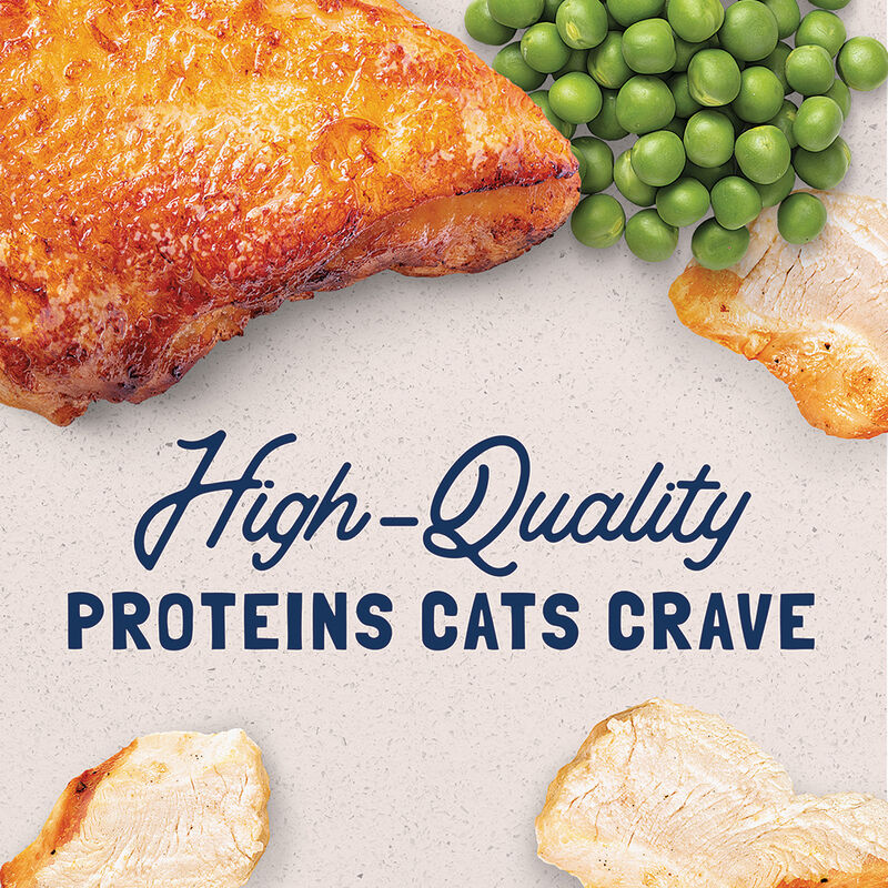 Can, Feline Adult - Ultra - GF Chicken - 156 g - Wet Cat Food image number null