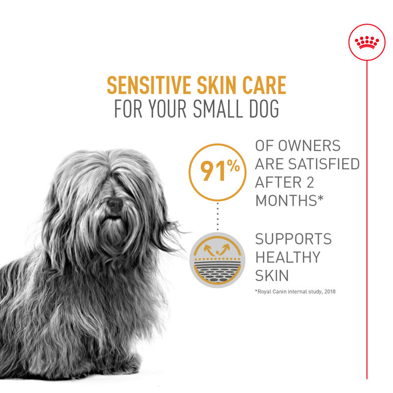 Royal Canin, Size Health Nutrition Small Sensitive Skin Care - 5.9 kg - Dry Dog Food image number null