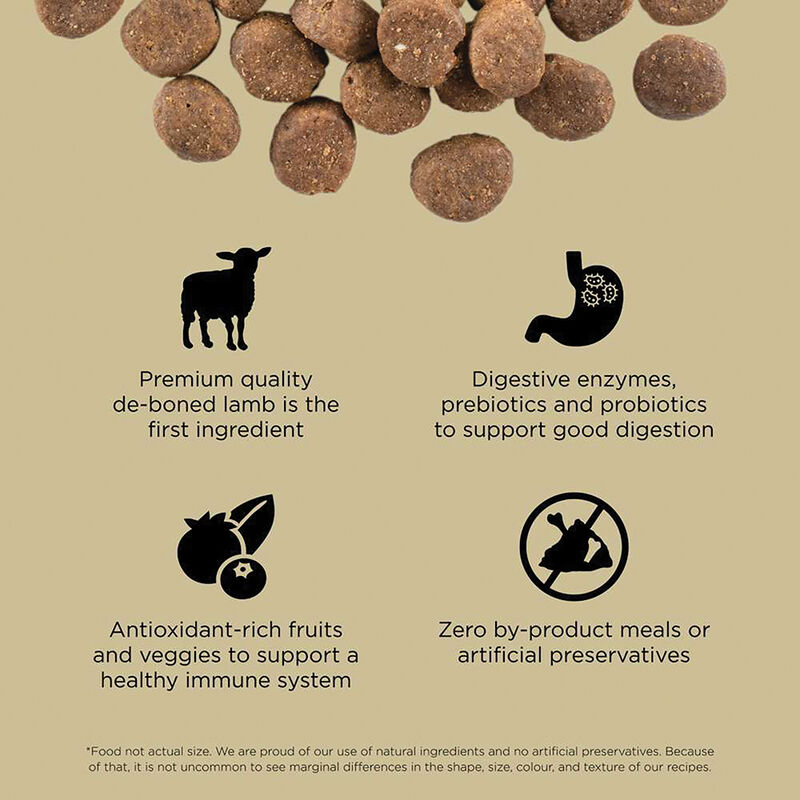 GO! SOLUTIONS CARNIVORE Grain Free Lamb + Wild Boar Recipe for dogs image number null
