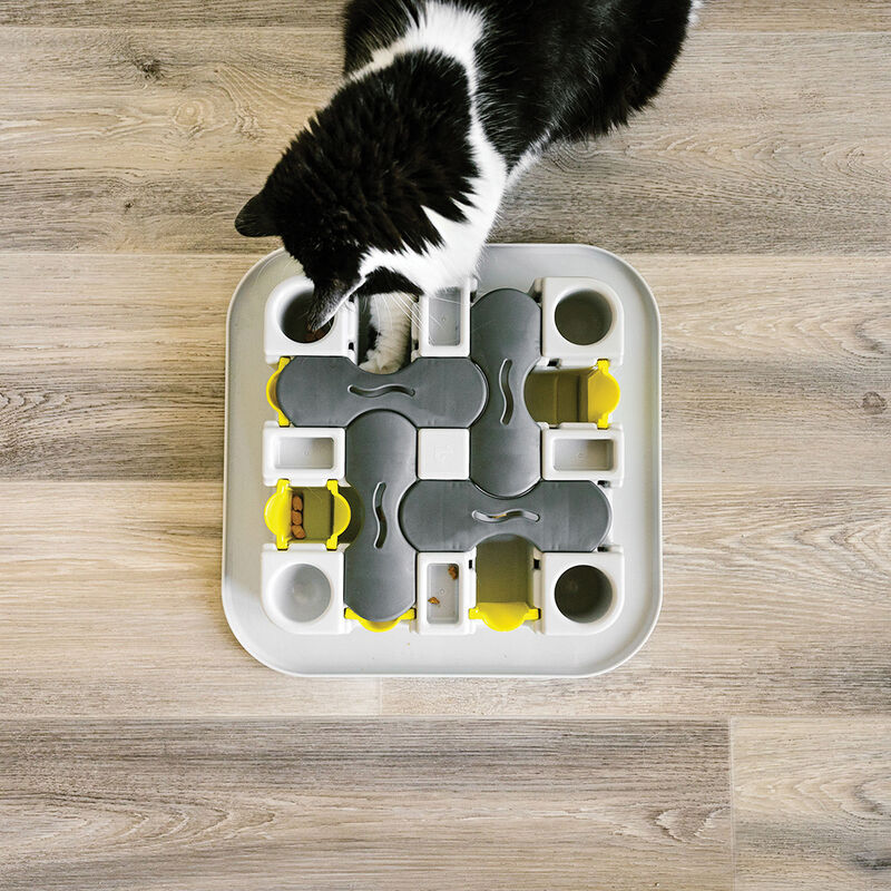 BeOneBreed, Cat Maze Interactive Feeder image number null