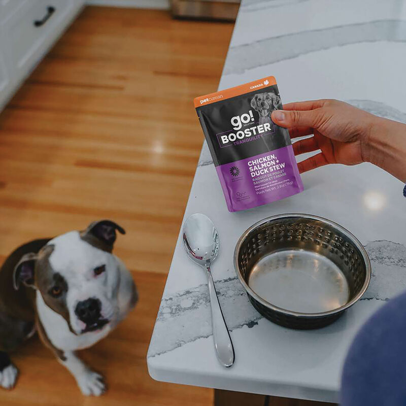 GO! SOLUTIONS,  BOOSTER Tranquility Chicken, Salmon + Duck Stew - 78 g - Wet Dog Food image number null