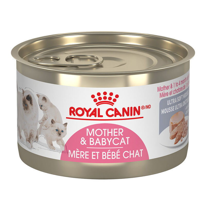 Royal Canin, Can, Mother & Babycat - Ultra Soft Mousse - 145 g - Wet Cat Food image number null