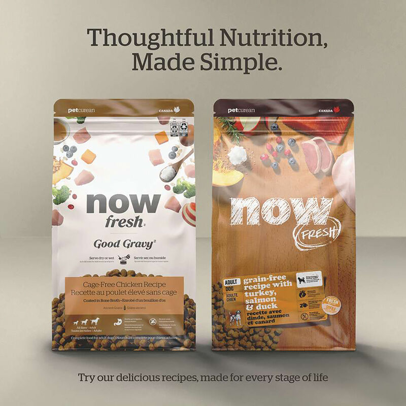 NOW FRESH, Puppy GF - Dry Dog Food image number null