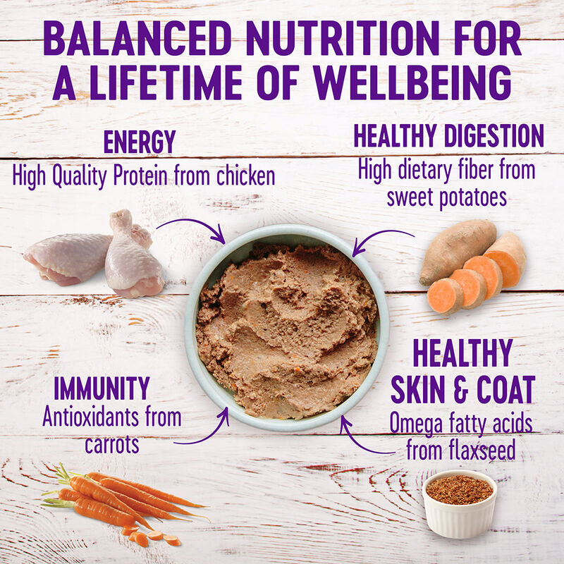 Wellness, Canned Dog Food, Just for Puppy - Wet Dog Food image number null
