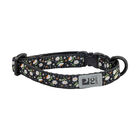 RC Pets, Kitty Breakaway Collar - Daisies - Cat Collar image number null